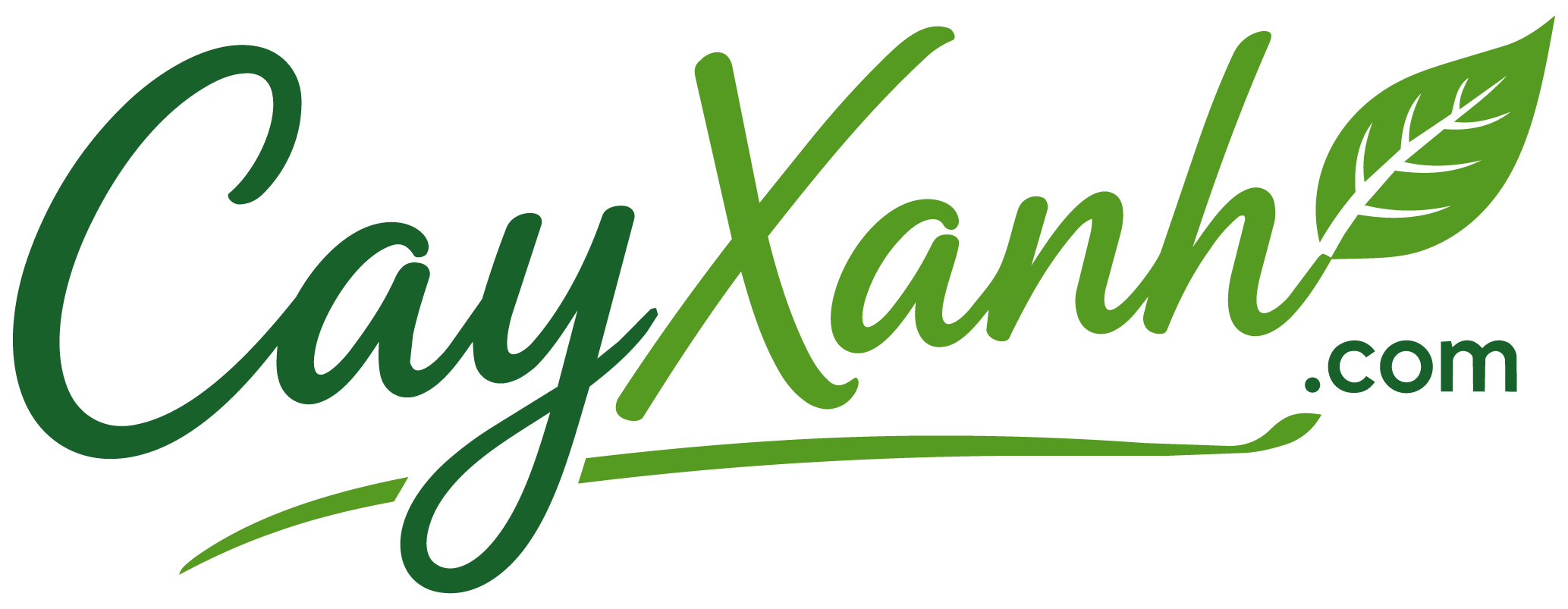 Cayxanh.com